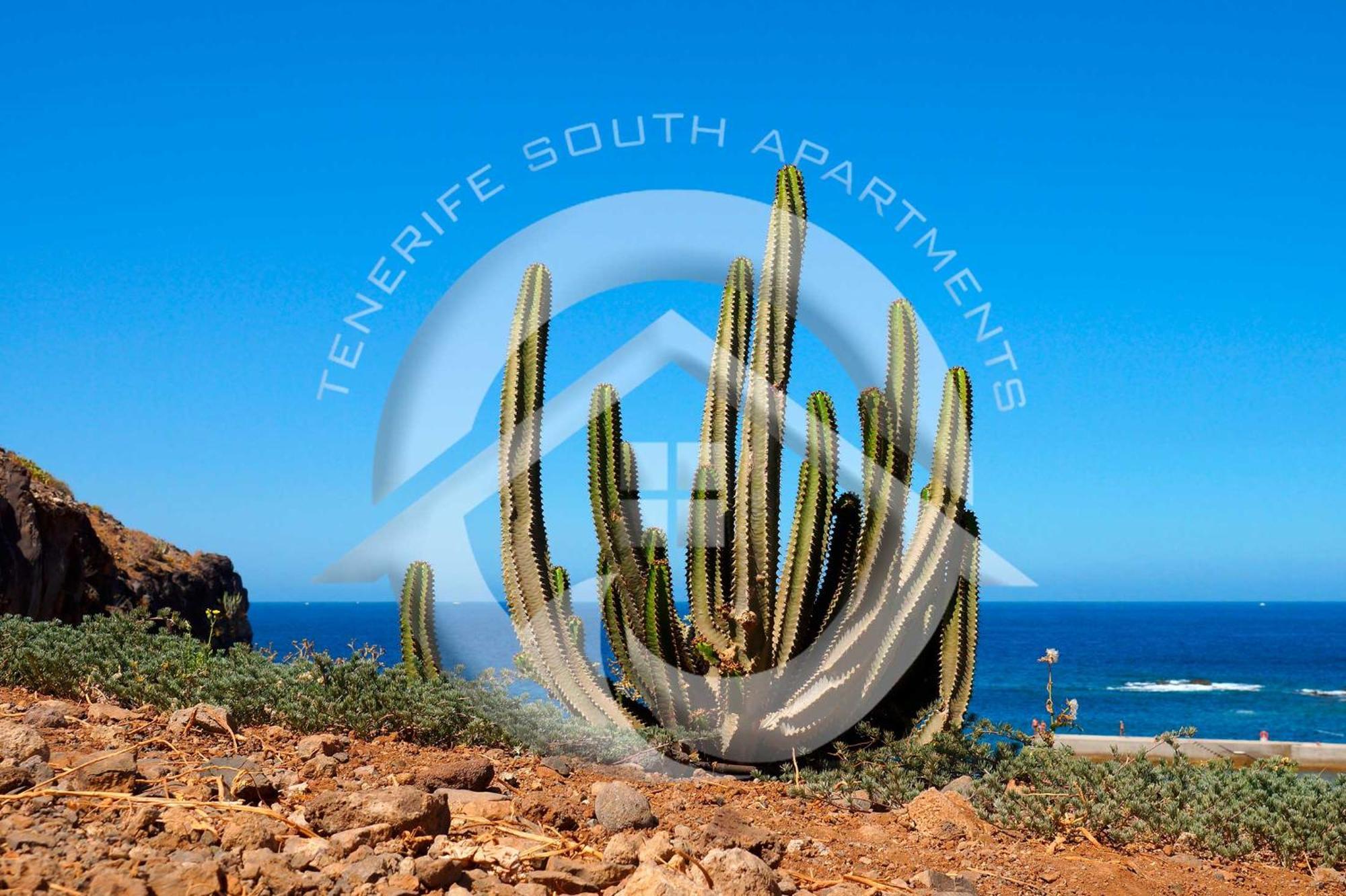 Apartamento My Sea View Costa Adeje  Exterior foto